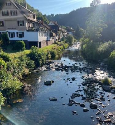 Schoenmuenzach Apartment | Murgtal Traum Apartment Schwarzwald