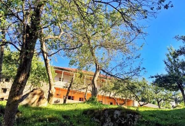 Bagvdanari House | Mushkudiani Manor