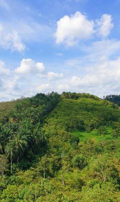 Taman Orkid Apartment | Ehsan Residence KLIA Nilai , USIM, SEPAANG F1 Circuit, Xiamen University