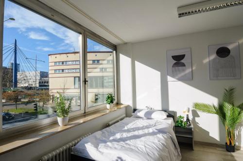 Pforzheim House | MZK Maier Schnäppchen im Zentrum