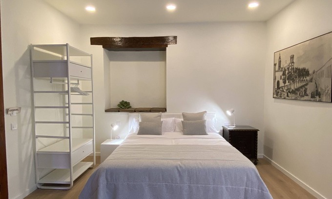 Historical Center Apartment | Nava Suites - Junior Suite with 1 bedroom for 2 in the center of La Laguna.