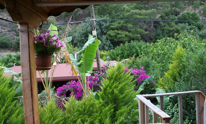 Cirali Apartment | Naz Apart Cirali