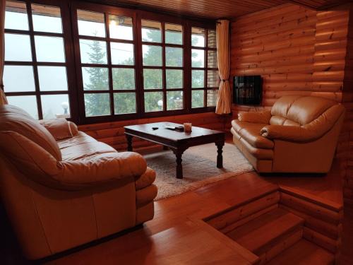 Eptalofos Apartment | 'Nest' The Wooden Suite by Ski Alure