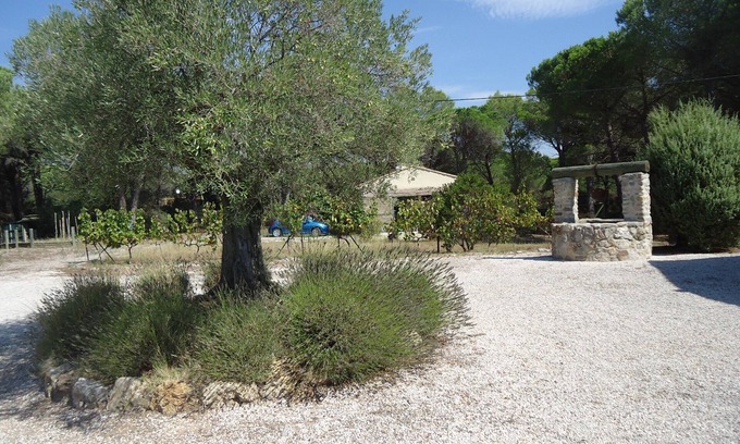 Roquebrune-sur-Argens House | New comfortable house, air conditioned located in pine forest, semi private pool