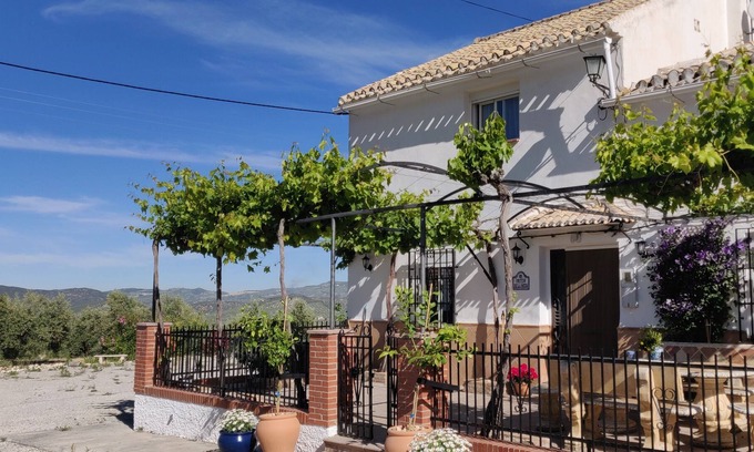 Moclin House | New Leaf Blanco, English style B&B