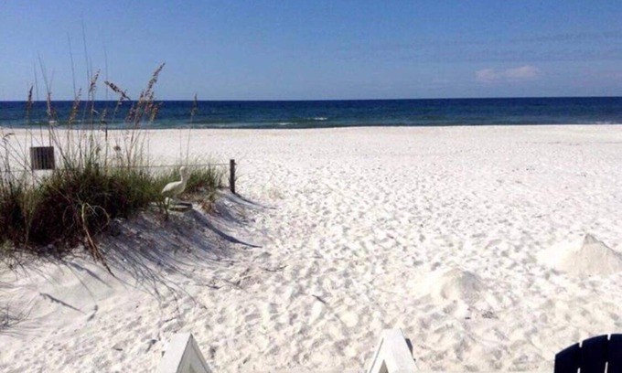 Sunnyside House | NEWLY RENOVATED Town home on Quiet West End PCB!