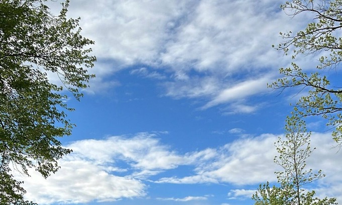 Quinte West Cottage | Newly updated waterfront large cottage located in Quinte West, On