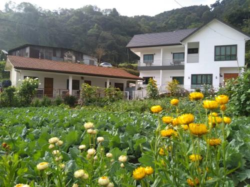 Brinchang House | Ng Family’s Farm Stay