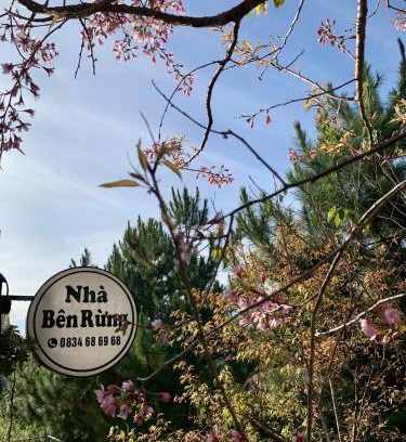 Lac Duong Cabin | Nhà bên rừng