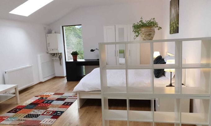 Cioplea Apartment | Nice apartament is waiting for you!