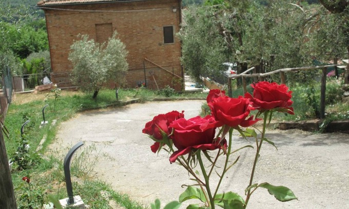 Chiusi Apartment | Nice apartment in a quiet area a stone's throw from the historic center