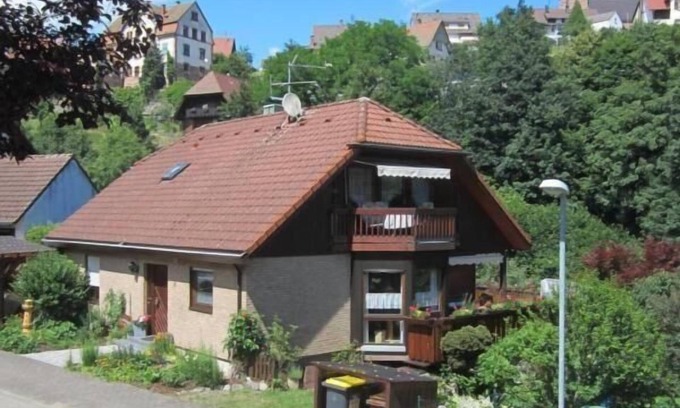 Forbach Apartment | Nice Apartment in Bermersbach and Fabulous View