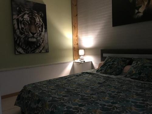 Saint-Andre Apartment | Nicole Résidence avec piscine chauffée & jacuzzi