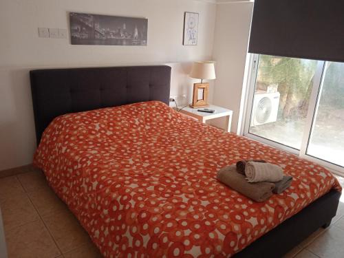 Lakatamia Apartment | Nicosia rest and relax 1 bedroom apartment