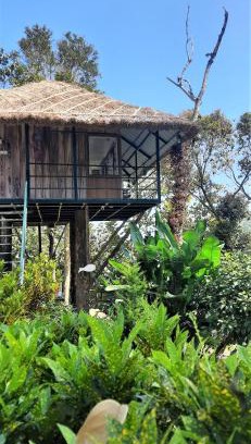 Pirmed House | Noah's Nest Tree House