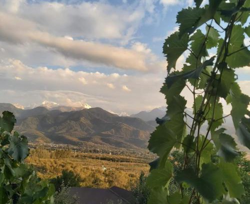 Tuzdybastau Other | Non Solo Pizza