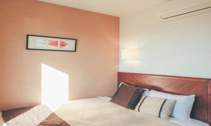 Kikugawa Hotel | NonsmokingSingleSDGsBreakfast includedMultip/Kikugawa Shizuoka