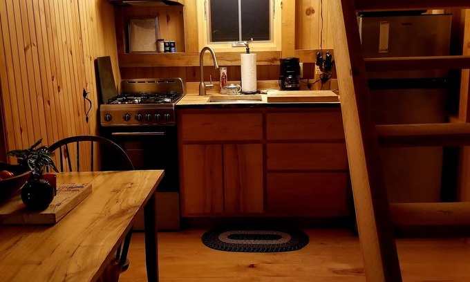 Craftsbury Cabin | Northwoods Guest Cabin and firepit & porch overlooking private woods and stream
