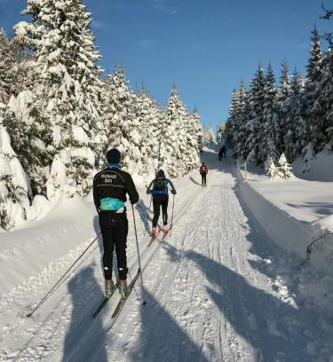 Vegarshei House | Norwegian Cabin Vibes With View In Vegårshei