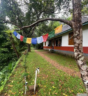 Pala House | Nutmeg nirvana