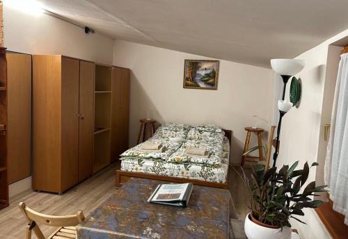 Debrecen Apartment | Nyárfa Vendégház