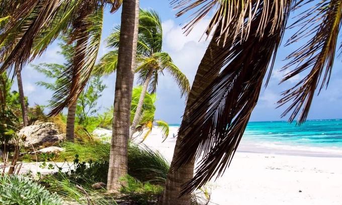 Port Howe House | Ocean View Coral - Private Beach Resort