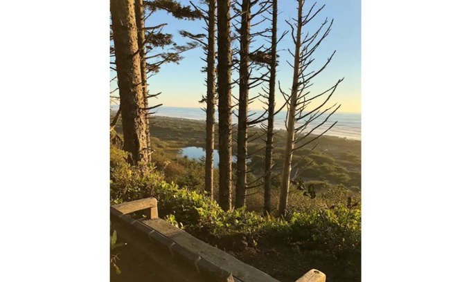 Jefferson County Cabin | Oceanfront Olympic Cabin— Secluded & Vast (2BR)