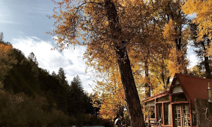Basalt Cabin | ❤️of the Frying Pan River I Aframe w/ private fishing access