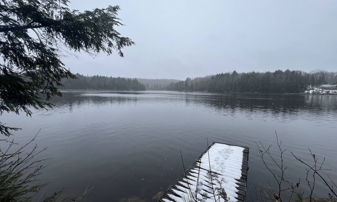 Unorganized North East Parry Sound Cabin | Off-Grid Forest Cabin on Beautiful Lake in Almaguin Highlands