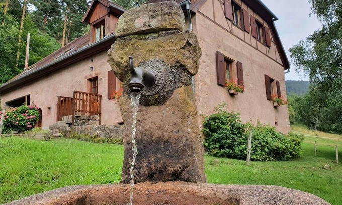 Fouchy House | Old freestone farm built in 1880 in the middle of Alsace and nature
