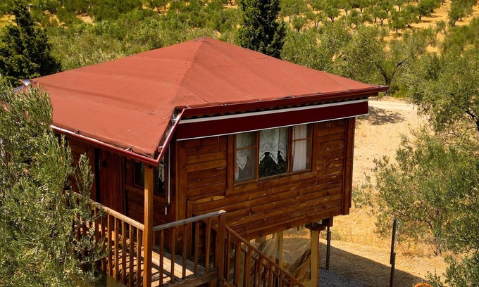 Zeytinli Ski Chalet | Oli Camping & Bungalows