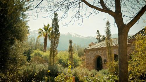 Ouirgane Hotel | Olinto, Atlas Mountain Retreat - adults only