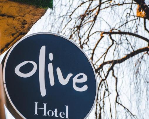 Darjeeling Hotel | Olive By Tej Hotel And Resorts