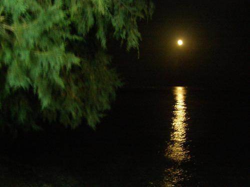 Agii Theodori Apartment | Oma's Haus- Το σπίτι της γιαγιάς