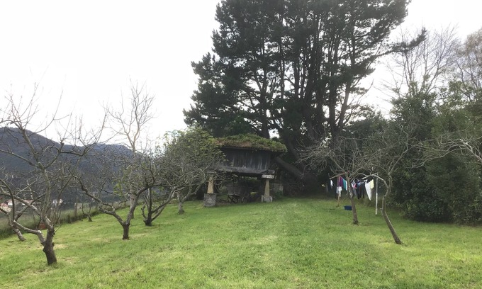 Muros de Nalon House | On the west coast of Asturias, semi-detached house in the middle of nature.