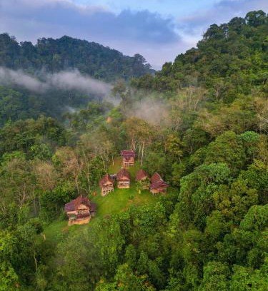 Bukit Lawang Cabin | ORANGUTANTREKSUMATRA & LOVELY JUNGLE LODGE only book IF you are treking with us