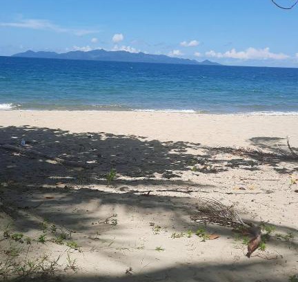 Pacific Harbour Bed & Breakfast | Orchid Island B&B on the River with Pool & Jetty