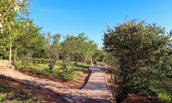 Maasai Mara Hotel | Orngatuny Mara King Camp