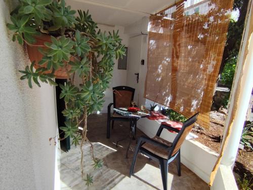 Stinica Apartment | Ortopla Terrace Apartment Stinica