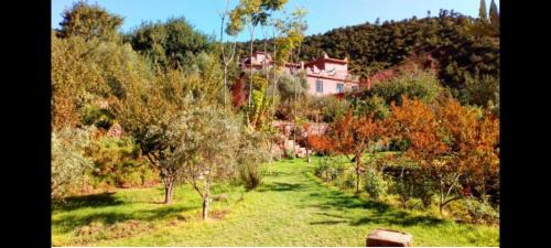 Tnine Ourika House | Ourika Timalizène le jardin des délices