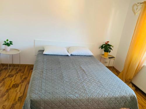 Cisnadie Apartment | Ovidius apartament