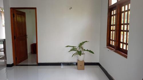 Anuradhapura House | Ovinro Rest