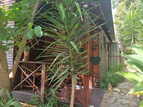 Oudtshoorn Apartment | Owl's Den 1