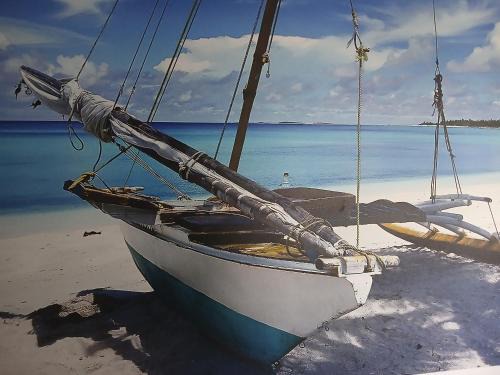 Jupiter Apartment | OxygenA5