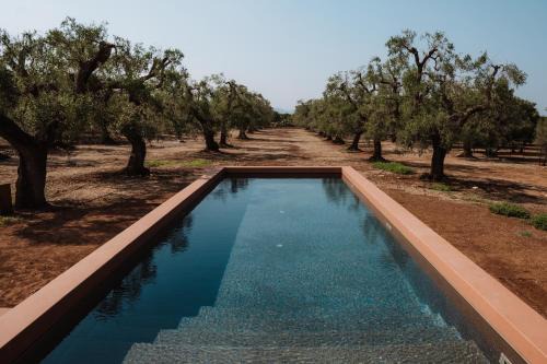 Fasano Bed & Breakfast | OZIO - Il trullo rosso