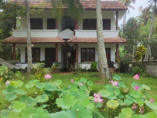 Varkala Apartment | paddy farm beach resort odayam varkala