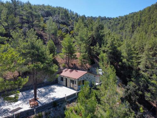 Vasa Koilaniou House | Palaiomylos Forest Residence