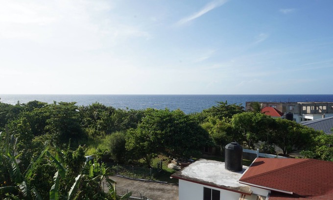 Galina House | Palm palace at Rockville