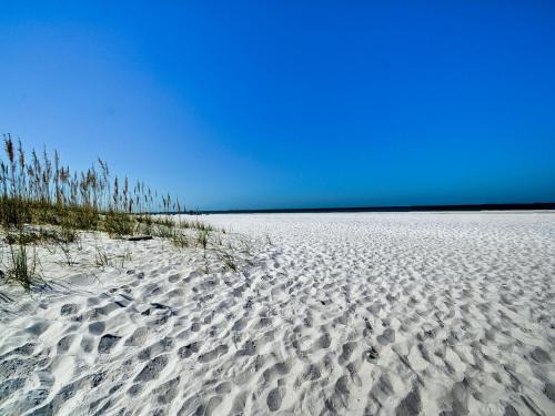 Clearwater Beach Apartment | Palm Place 2 - Coconut Palm Beach getaway 623