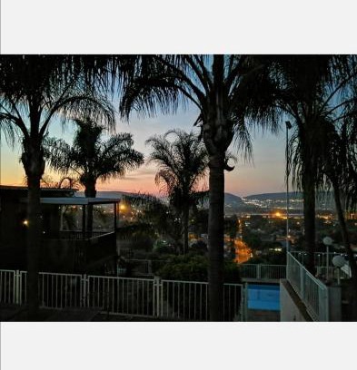 Pretoria Bed & Breakfast | Palm View Guest House